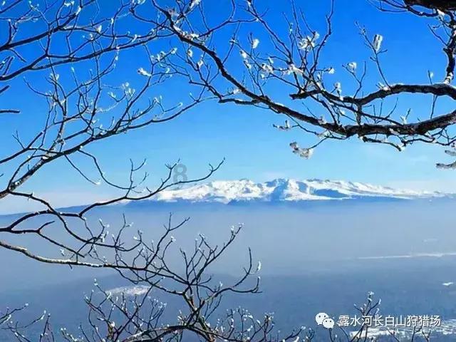 光明大陆