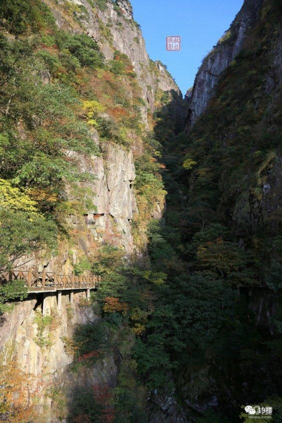 疯狂点击汉堡